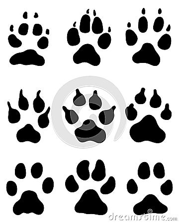 Print of dogs paws Stock Photo