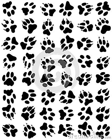 Print of dogs paws Stock Photo