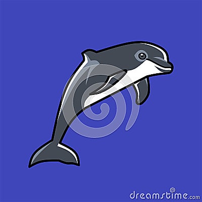 Dolphin is the common name of aquatic mammals Vector Illustration