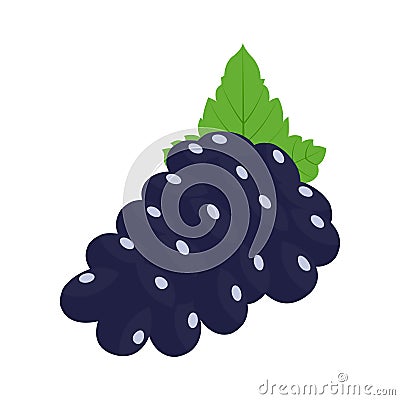 Health and Nutrition Benefits of blueberry Cartoon Illustration