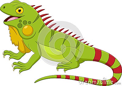 Cartoon iguana isolated on white background Vector Illustration