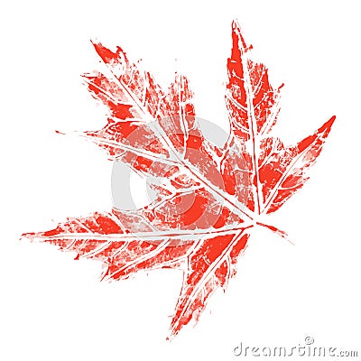 Print of red maple Autumn leaves with painted watercolor by hand Vector Illustration