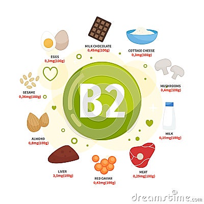 Vector poster products with vitamin B2. Vector Illustration