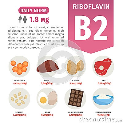 Vector poster products with vitamin B2. Vector Illustration