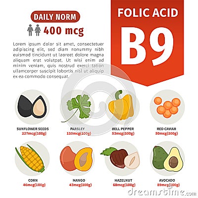Vector poster products with vitamin B9. Vector Illustration