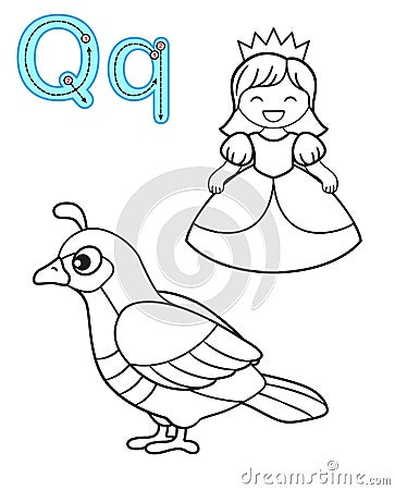 Printable coloring page for kindergarten and preschool. Card for study English. Vector coloring book alphabet. Letter Q. quail, Vector Illustration