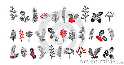 PrintChristmas vector plant, pine cone and leaves, branch spruce and fir, evergreen icon, winter tree, holly berry, mistletoe, Vector Illustration