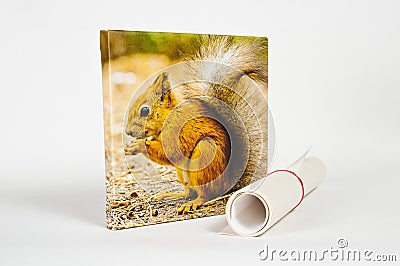 Prints on canvas Stock Photo