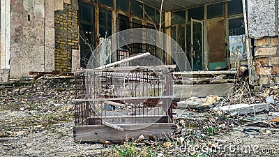 Pripyat parrot cage Stock Photo