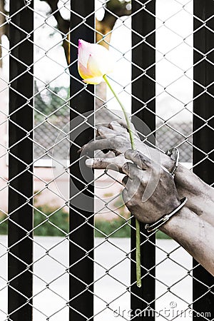 Prisoner hand holding a flower Stock Photo