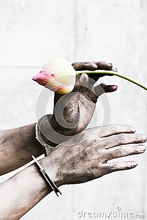 Prisoner hand holding a flower. Stock Photo