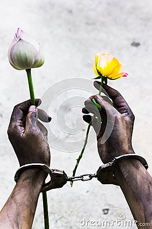 Prisoner hand holding a flower. Stock Photo