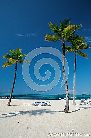 Pristine beach of Bahama Stock Photo