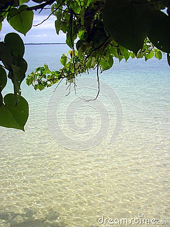 Pristine Beach of Tonga Stock Photo