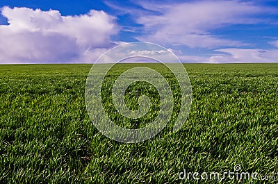 Pristine farmland with blue sky Stock Photo