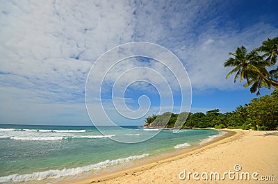 Pristine tropic beach Stock Photo