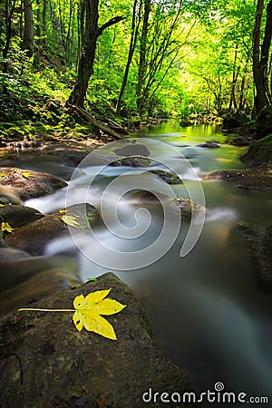 Pristine waterfalls deep in the woods, in autumn Stock Photo