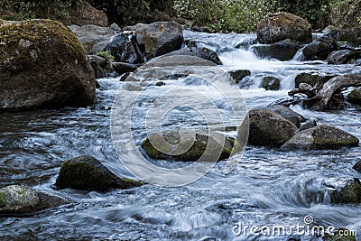 The pristine waters of the Savegre River. Costa Rica Stock Photo