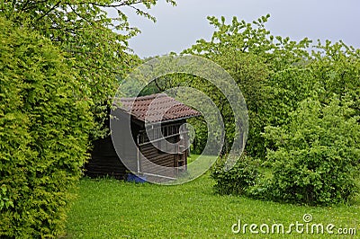 Garden shed in countryside backyard by lush green nature Stock Photo