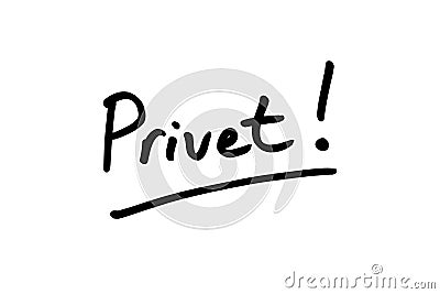 Privet Stock Photo