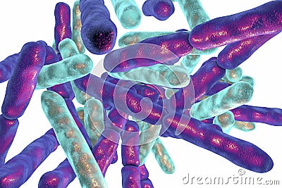 Probiotic Bacteria Bifidobacterium Cartoon Illustration