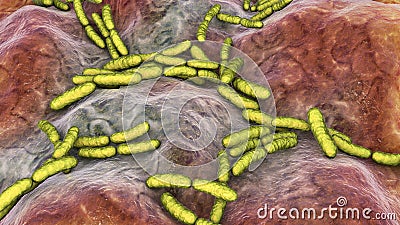 Probiotic bacteria Lactobacillus Cartoon Illustration