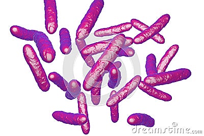 Probiotic bacteria, normal intestinal microflora Cartoon Illustration