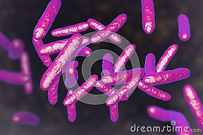 Probiotic bacteria, normal intestinal microflora Cartoon Illustration