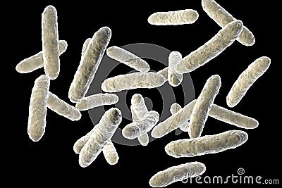 Probiotic bacteria, normal intestinal microflora Cartoon Illustration