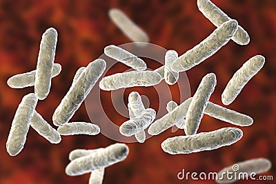 Probiotic bacteria, normal intestinal microflora Cartoon Illustration