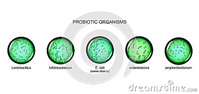 Probiotic microorganisms. microbiology Vector Illustration