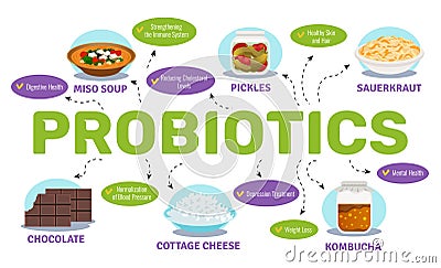 Probiotics And Health Concept Vector Illustration