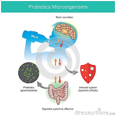 Probiotics Microorganisms. Sample diagram when a kid receives probiotics lactic acid bacteria Stock Photo