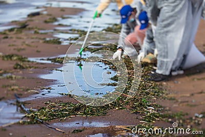 Process of cleaning up the shore beach line from litter garbage rubbish trash, group of eco volunteers remove oil products leak Stock Photo