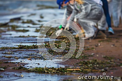 Process of cleaning up the shore beach line from litter garbage rubbish trash, group of eco volunteers remove oil products leak Stock Photo