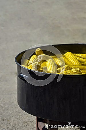 Process of cooking fresh mature corn. Sale of freshly boiled hot corn at fair. Close-up. Selective Stock Photo