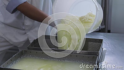 Process för fabriksostmassadanande Manarbetaren avskiljer mjölkar vassla från ostmassa på fabriken stock video Process för fabriksostmassadanande Manarbetaren avskiljer mjölkar vassla från ostmassa på fabriken stock video