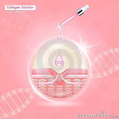 Process of getting skin younger with help of Collagen Solution before and after skin solutions ad, pink collagen serum drop Vector Illustration