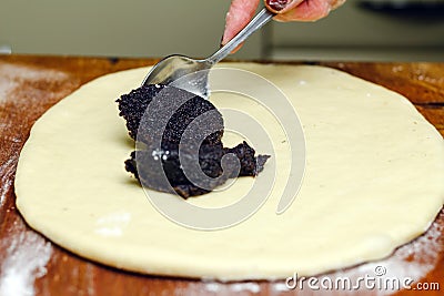 Process of making strudel pie, woman spoon puts poppy stuffing on the dough, wooden board. Stock Photo