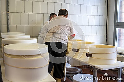 Process of making wheels of parmigiano-reggiano parmesan cheese on small cheese farm in Parma, Italy Editorial Stock Photo