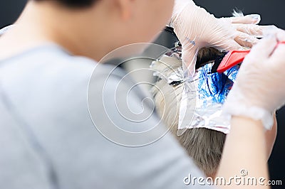 The process of partial painting of hair, in several colors, using foil. Master colorist in the workflow Stock Photo