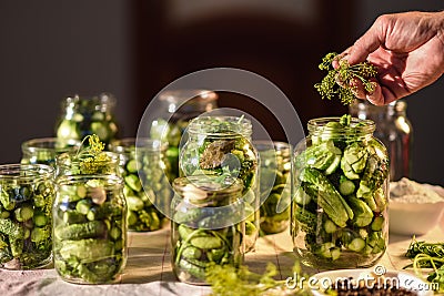 The process of preparation of salty cucumbers for canning, Ukraine Stock Photo
