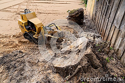 The process of removing a tree stump where the rotating head of the stump cutter grinds a freshly sawn stump..Spring view of a Stock Photo