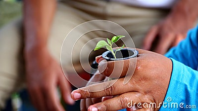 The process of seeding vegetable seeds on special ingredients Stock Photo