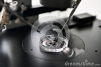 Process of in vitro fertilization in laboratory Stock Photo