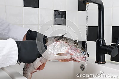 The process of washing and cleaning red trout, by a chef in black gloves, with a sharp knife under a stream of water, in the sink Stock Photo