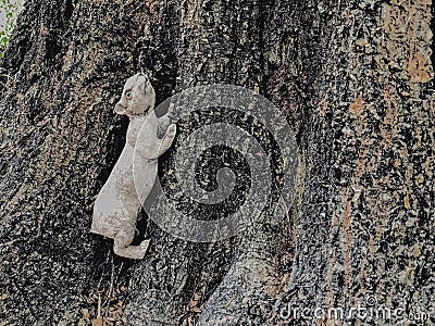 Old squirrel statue and the ole tree Stock Photo