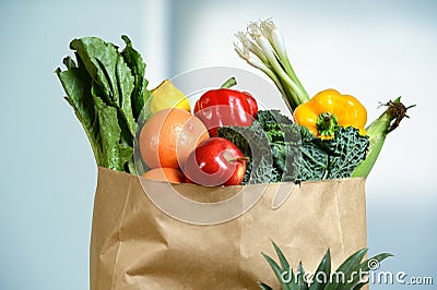 Produce in Grocery Bag Stock Photo