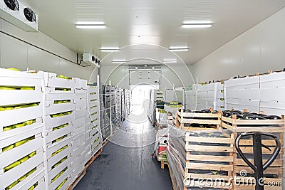 Produce Storage Unit Stock Photo