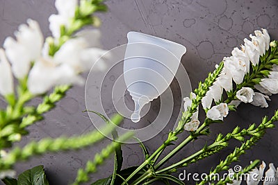 Product to comply with the concept of zero waste - menstrual cup Stock Photo